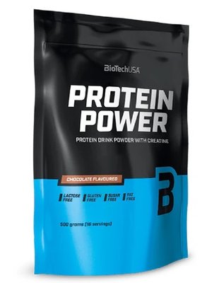 BioTech USA Protein Power 500g Vanilla 43620 фото